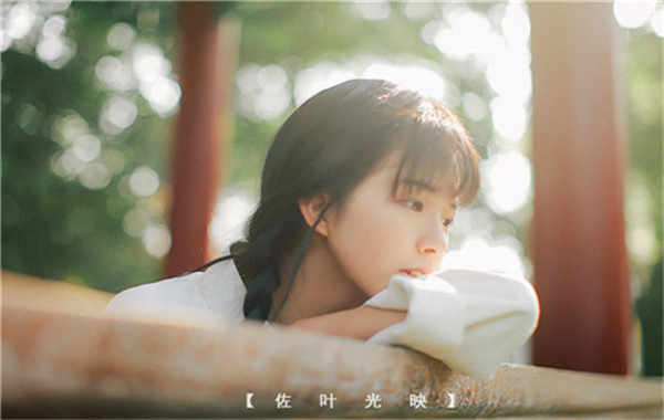 礼泉胎儿性别鉴定需要多少钱(胎儿性别鉴定的方法)